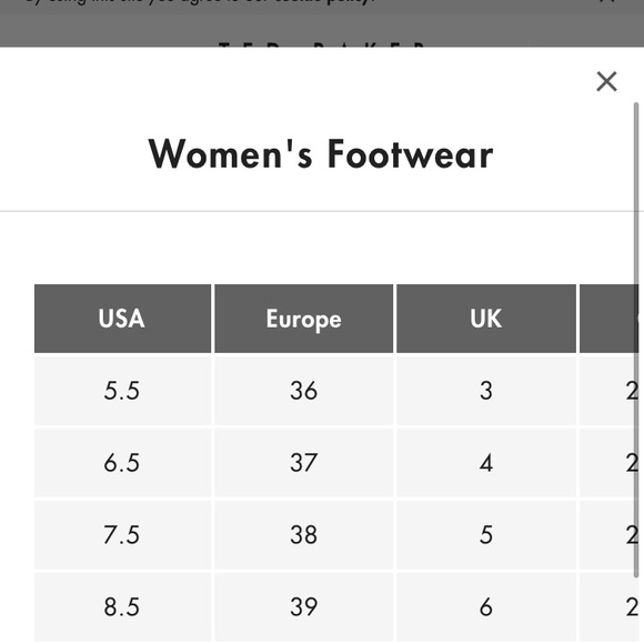 Ted Baker Floral Shoes - Picture 4 of 4